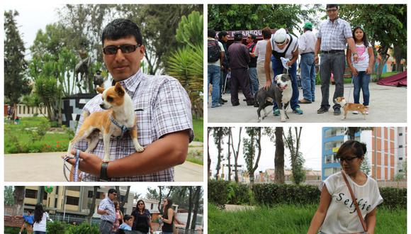 Arequipa: Más de 100 perritos participaron en taller de adiestramiento