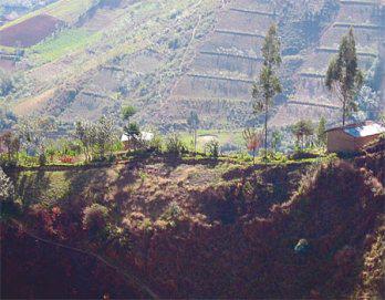 ¡Escalofriante!: "Pishtacos" en Lima