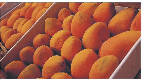 Senasa asegura que exportaciones de mango sí irán a China 