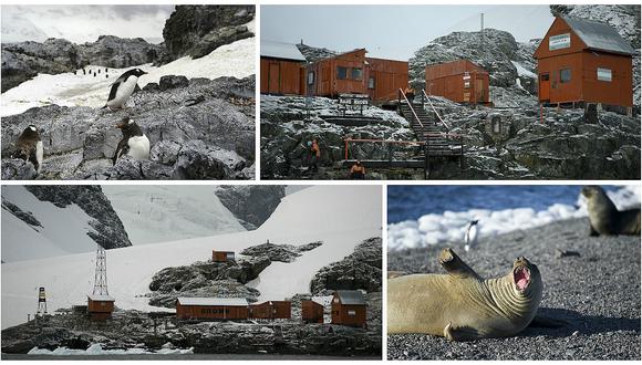 Antártida: Aguas residuales de las bases afectan a la vida marina