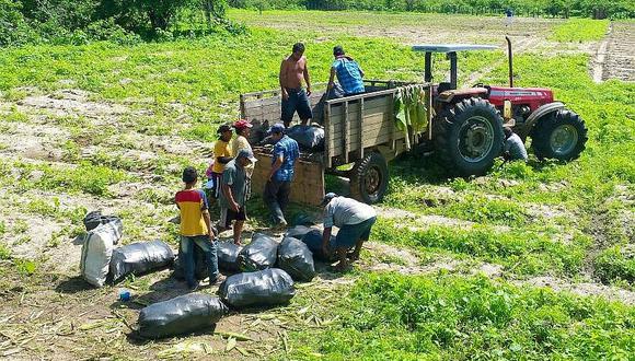 Tumbes: Los agricultores de Casitas abaratan sus productos para evitar que se pierdan por las lluvias