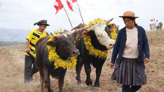 “La Rayada”, la fiesta costumbrista de Chongos bajo que busca atraer la buena cosecha