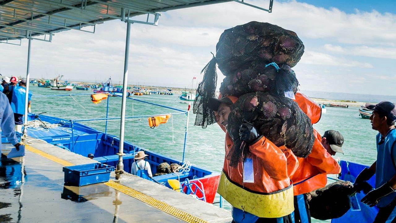 Sechura: invertirán en el desembarcadero pesquero artesanal para evitar cierre