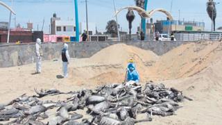 Chimbote: Defensoría del Pueblo pide proteger salud de bañistas de playas