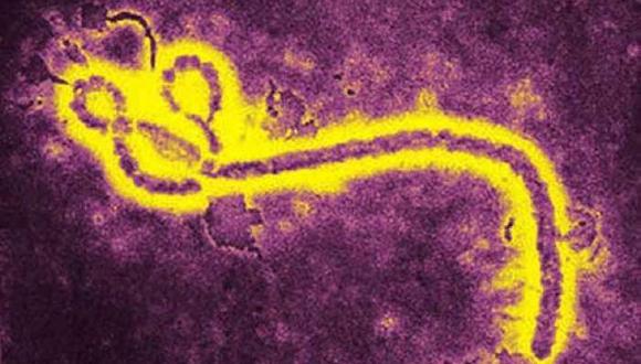 El regreso del virus del ébola causa temor mundial
