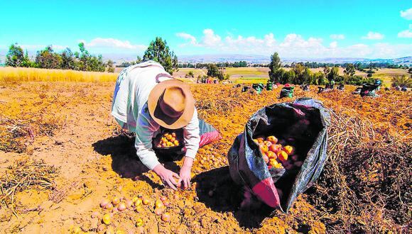 Especialistas advierten que lineamientos de la “segunda reforma agraria” no resuelven los problemas de fondo