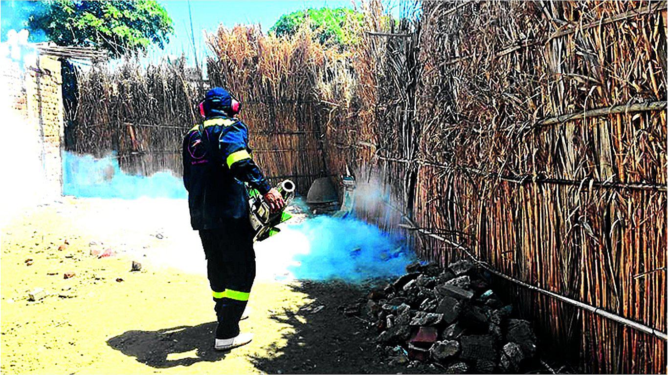 Presupuesto para el dengue sigue siendo insuficiente