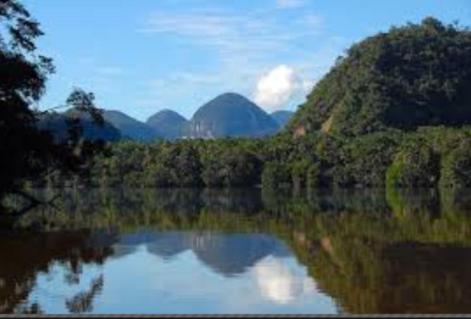 Puno: Premian a Parque Nacional Bahuaja-Sonene por alta conservación