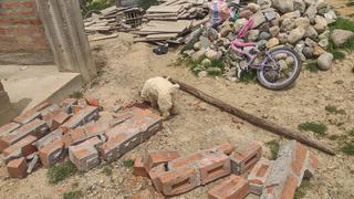Pared sin viga acaba con la vida de niña de seis años en Huancayo