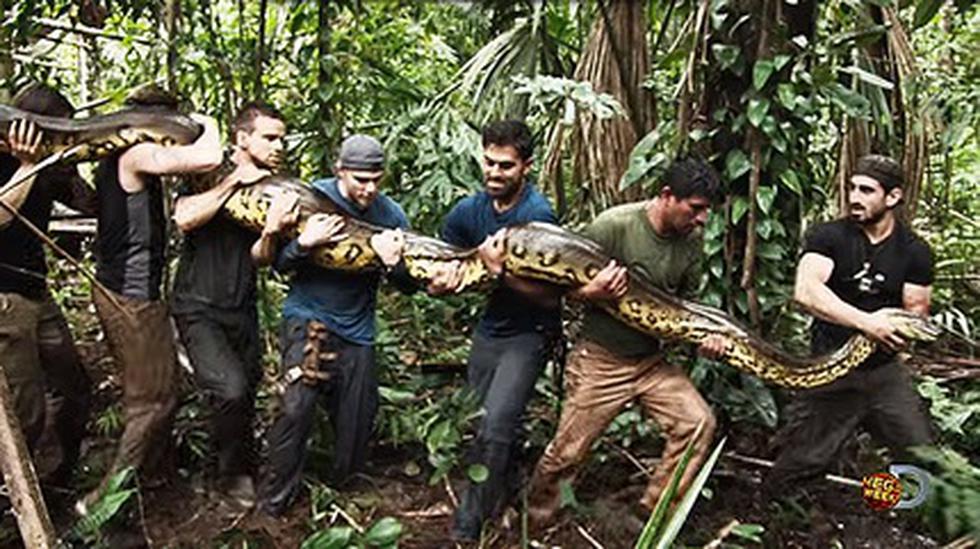 Hombre se deja tragar por una anaconda para grabar documental 
