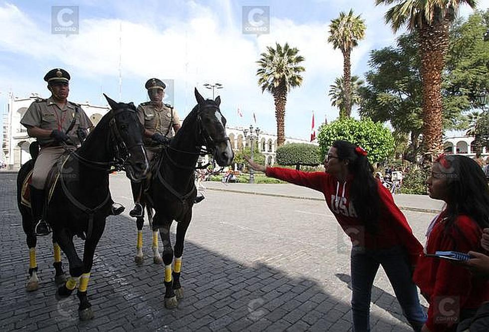 Policías a caballo patrullan calles del Centro Histórico de Arequipa (FOTOS)