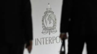Interpol anuncia el lanzamiento de un nuevo registro de ADN para identificar a desaparecidos 