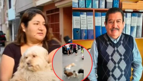 Denuncian a vecino por matar a perro a palazos. Foto: Buenos Días Perú
