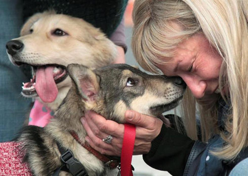 Hoy se celebra el Día Mundial de los Animales