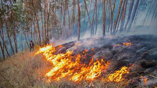 Cusco: Incendio forestal fue controlado por bomberos y serenos de San Jerónimo (FOTOS)