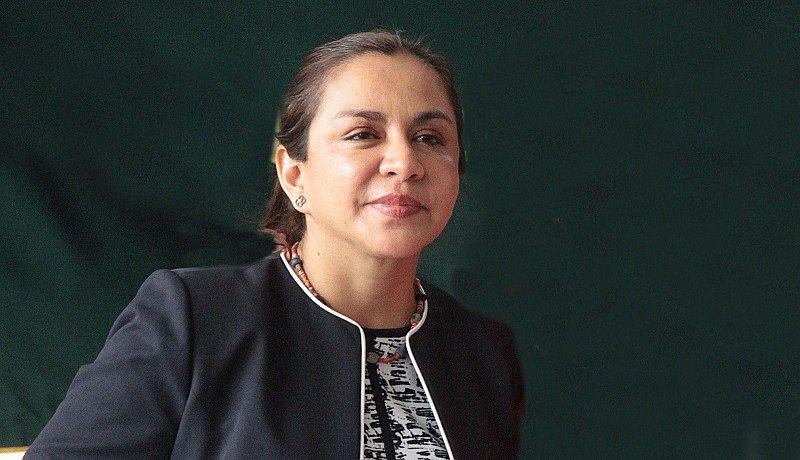 ¿La tercera vía? Marisol Espinoza es candidata a presidir el Congreso  