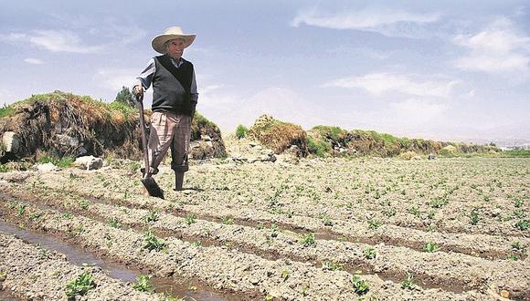 ​"El crédito es muy esquivo para el 85% de agricultores", sostiene presidente de Agrobanco