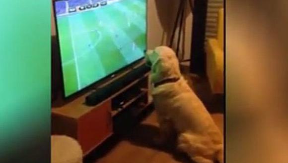 VIDEO: Perrito es famoso por su pasión en los partidos de la Eurocopa 2016