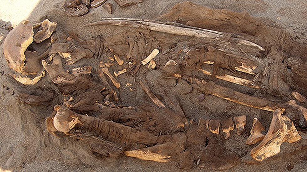 Islay: Hallan cementerio de cultura desconocida en nuestro país