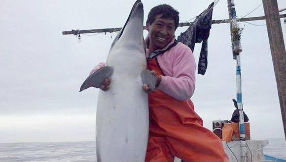 Denuncian penalmente a pescador que mató delfín