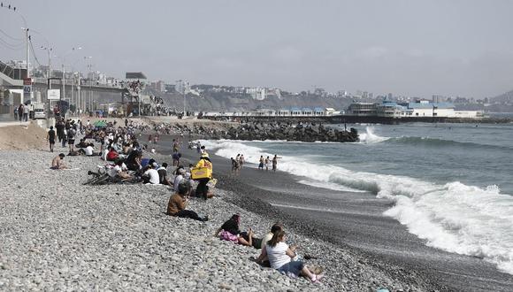 Hoy se define si se cierran playas por pelícanos muertos en el litoral. (Foto: GEC)