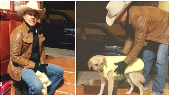 Comerciante brinda abrigo para perros que sufren de frío en la calle (VIDEO)