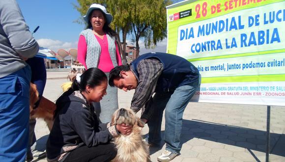 En Chilca vacunan a perros para prevenir  la rabia 