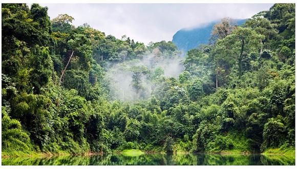 ​Noruega recortará aportación a fondo de Amazonía si se confirma deforestación