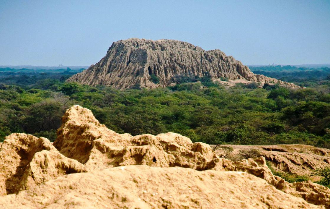 Más de 15,000 visitantes recibió el Bosque de Pómac en el 2014