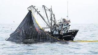 Chimbote: Aprueban inicio de pesca de anchoveta