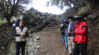 Declaran de interés regional conservación del Bosque Relicto Altoandino de Quinual en Huancavelica