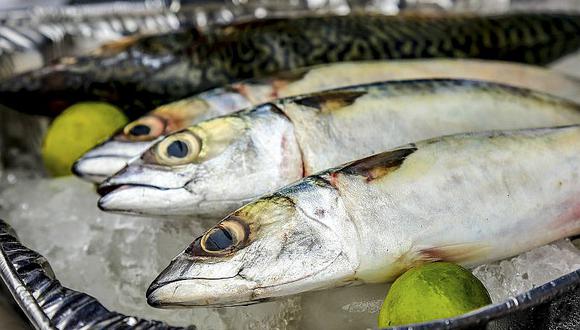 Produce establece cuotas de pesca para los recursos jurel y caballa en el 2018