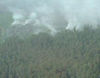 Rusia: Más de 23,000 hectáreas de bosque arden en Siberia
