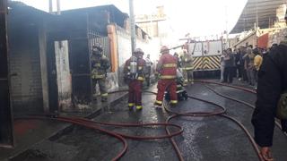 Arequipa: Mascota de la familia murió en incendio de vivienda del distrito de Mariano Melgar