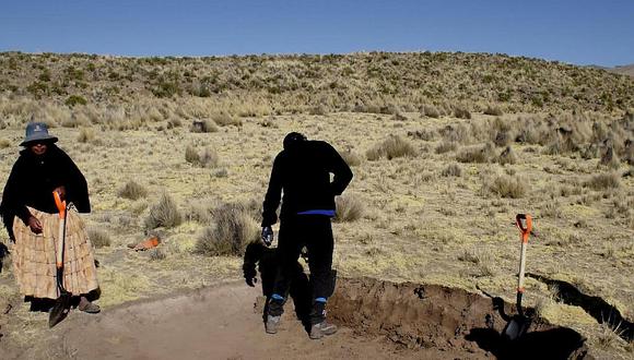 Más de 45 mil hectáreas de cultivos afectados por falta de lluvias en Puno