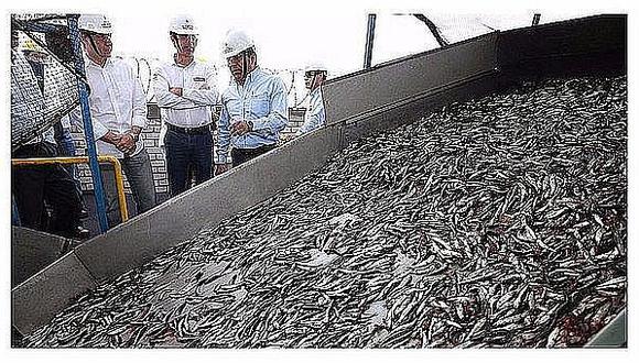 Produce: Primera temporada de pesca tiene un avance superior al 38%