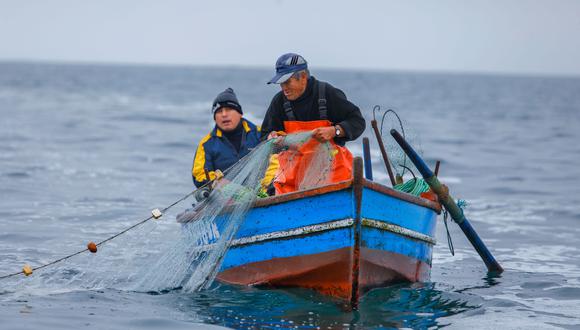 Produce indicó que la formalización de la pesca artesanal permitirá reducir la sobreexplotación. (Foto: GEC)