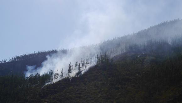 ​En tres distritos de Pasco  incendio arrasa plantaciones de eucaliptos