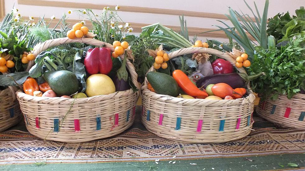 Presentan panetón y canasta navideña "ecológicos" en “Frutos de la Tierra”