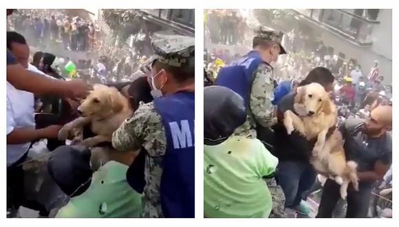 Terremoto en México: emocionante rescate de perrito enternece a miles en Instagram (VIDEO)