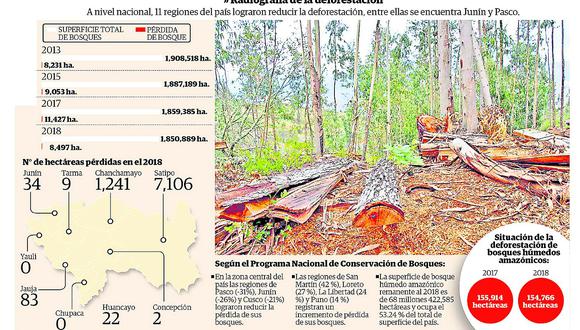 Entre el 2001 - 2018  se perdió más de 151 mil hectáreas de bosques en Junín