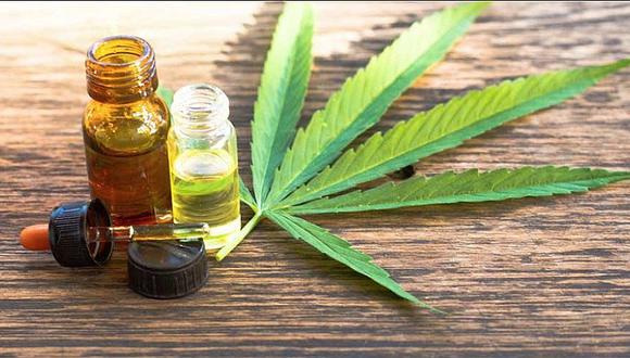 Publican reglamento de ley de cannabis medicinal y sus derivados