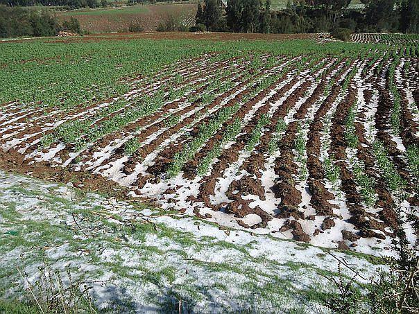 ​Fuertes lluvias y granizada dañan cultivos y produce huaico en Andabamba