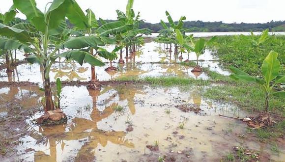 Se activan tres quebradas por lluvias en Tumbes 