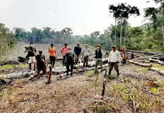 Deforestaron más de seis hectáreas de bosques para actividades agrícolas en la región San Martín 