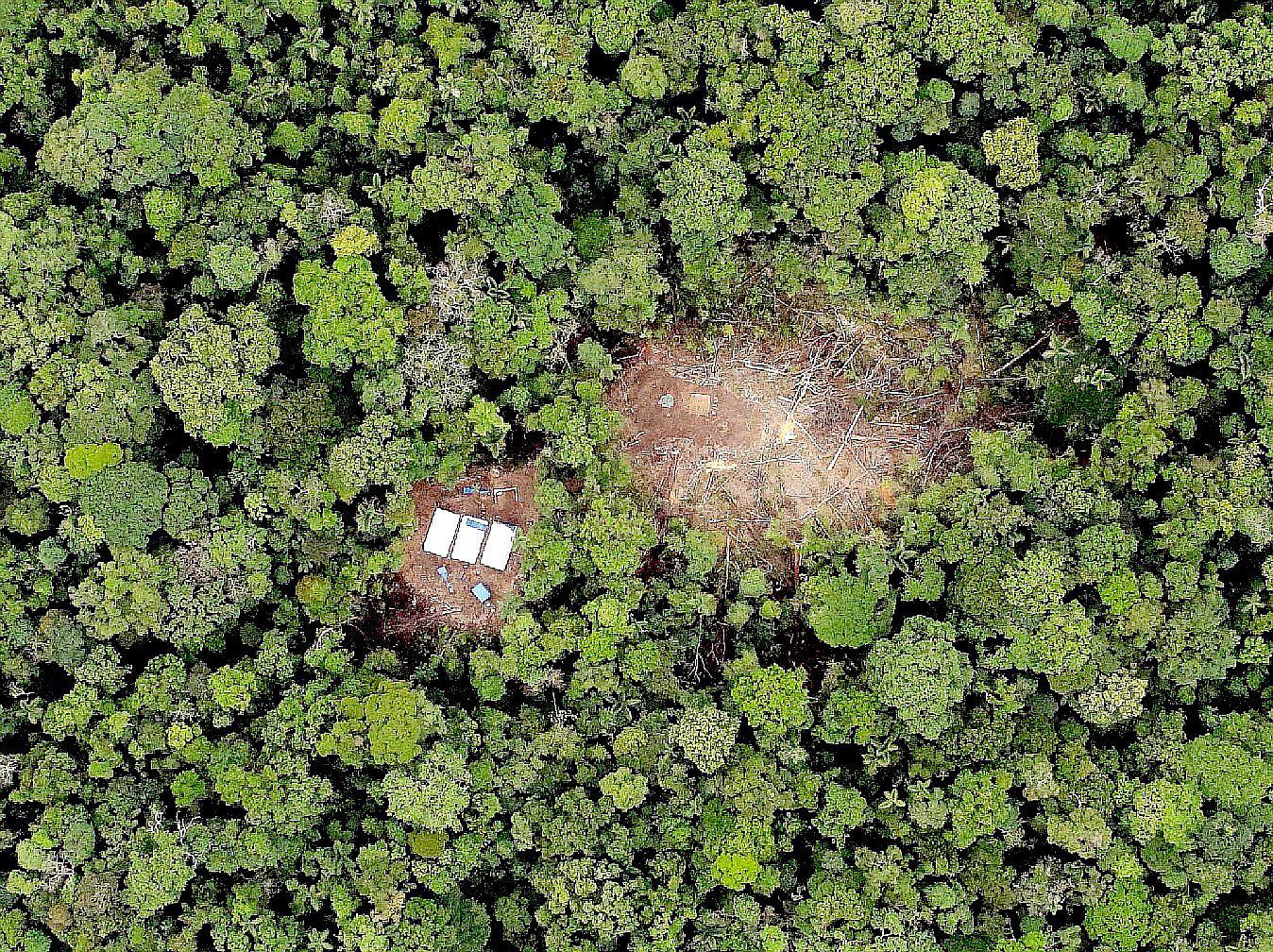 Satélite muestra impresionantes imágenes de la selva de Cusco (FOTOS)