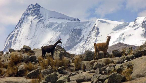 Perú elegido como único país de América Latina para realizar turismo mundial