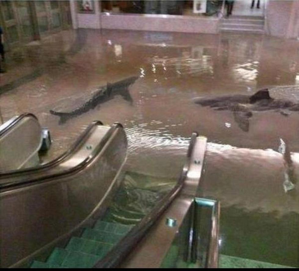 'Fakes' del huracán Sandy invaden las redes sociales