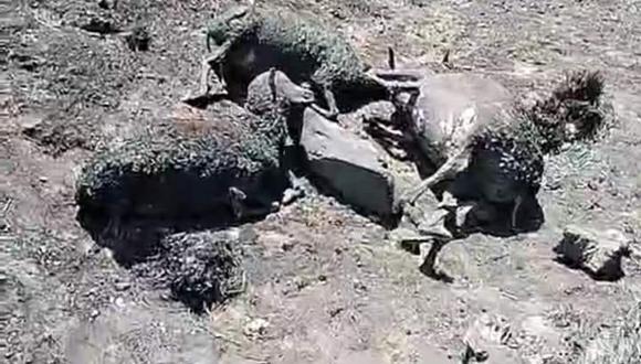 Decenas de animales murieron calcinados por el fuego