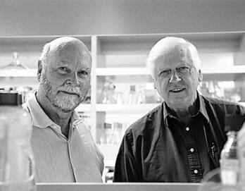 Anuncian la creación de la primera vida artificial